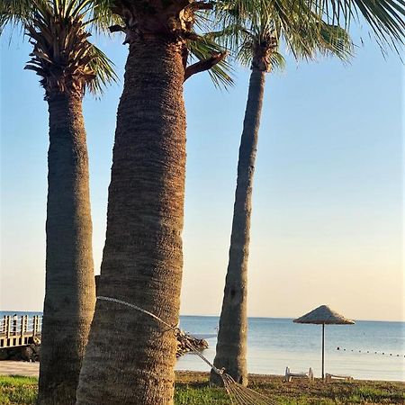 Relaxing Penthouse Suites By The Sea Vokolidha Εξωτερικό φωτογραφία