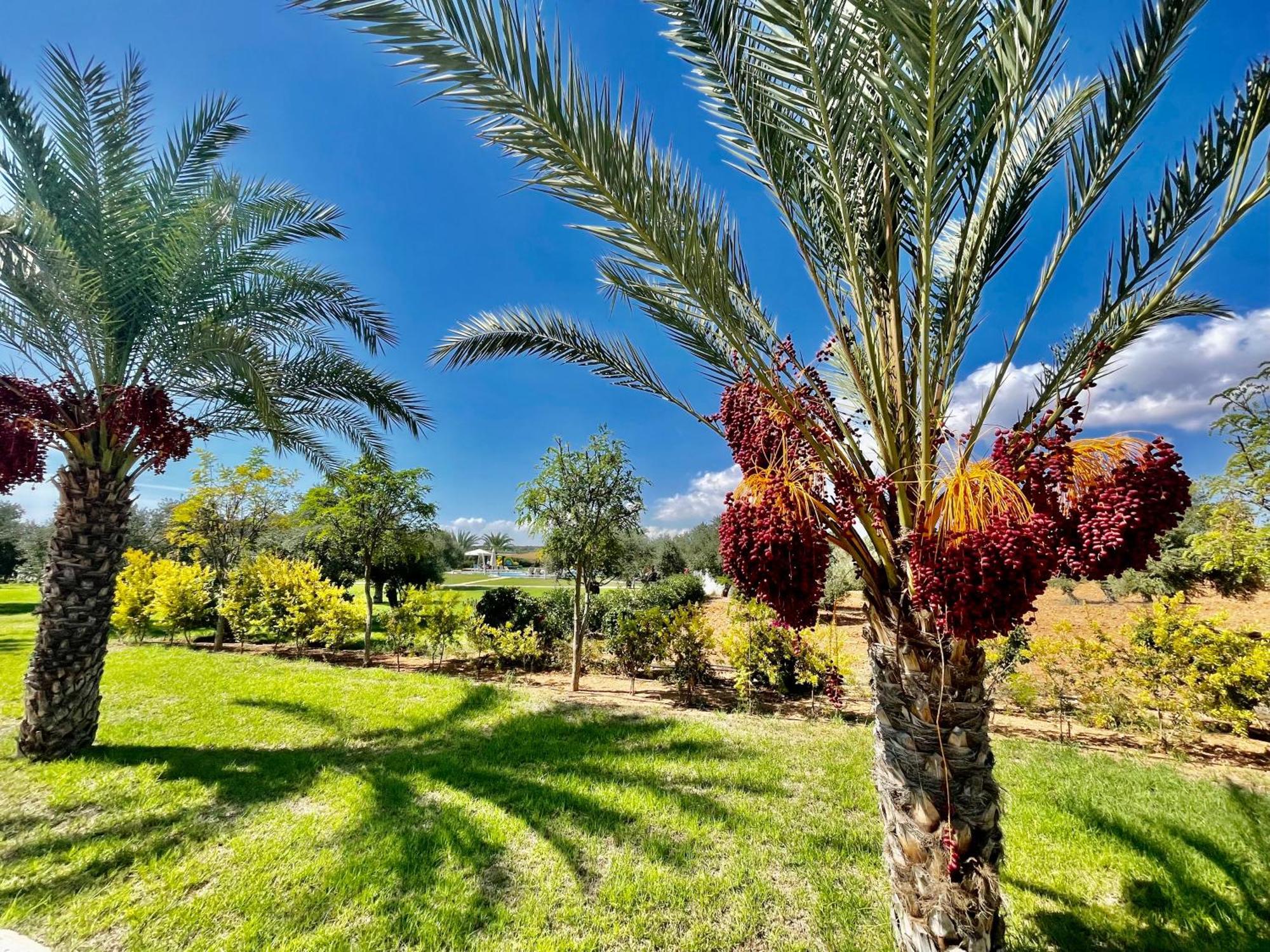 Relaxing Penthouse Suites By The Sea Vokolidha Εξωτερικό φωτογραφία